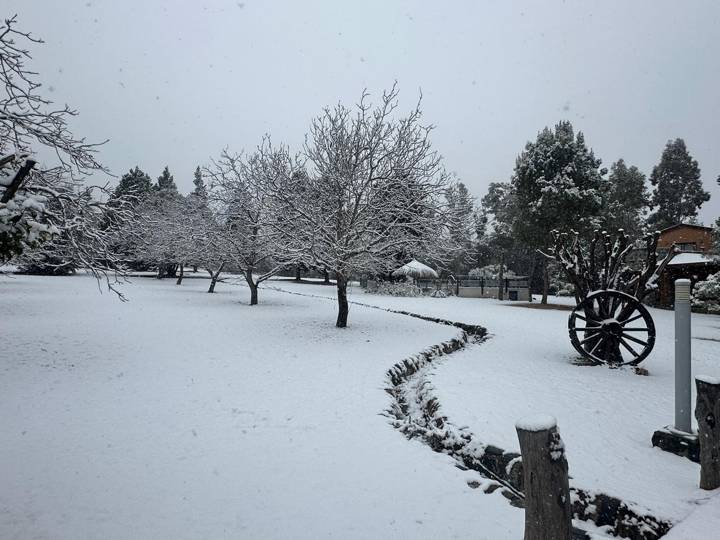 El parque nevado en invierno