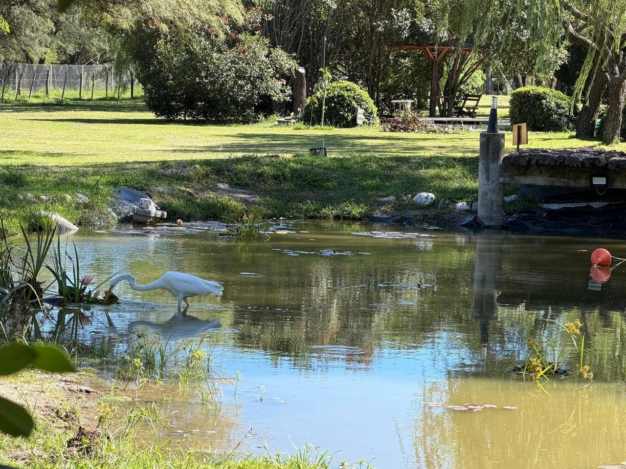 La laguna de la casa
