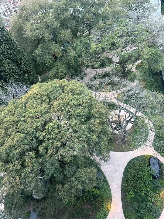 Vista al parque desde arriba
